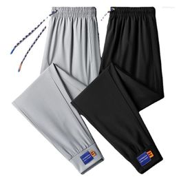 Men's Pants Summer Thin Ice Silk Loose And Versatile Trendy Oversized Sports Casual Leggings Quick Drying