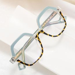 Sunglasses Fashion Colorful Frame Leopard Glasses Retro Female TR90 Anti Blue Light Optical Polygon Eyewear Women Men Computer Goggles