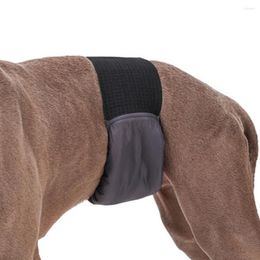 Dog Apparel Pet Pantie Stylish No Leak Wear-resistant Washable Female Diaper Accessories