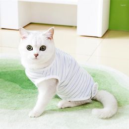 Cat Costumes 2023 Spring/Summer Kitten Post-Op Recovery Pinstripe Spay/Neuter Costume Pet Apparel Accessories