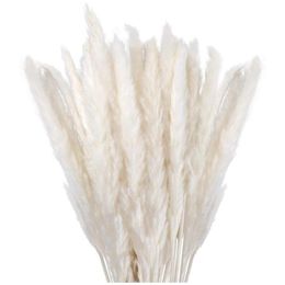 Decorative Flowers & Wreaths Dried Pampas Grass Decor Small Fluffy 30 Pcs 45CM Natural White For Vase Flower Bouquet Arrangement233W