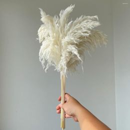 Decorative Flowers White Colour Large Size Real Dried Pampas Grass Wedding Decor Flower Bunch Natural Plants Home Fall