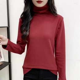 Women's Sweaters Autumn Winter Women Turtleneck Plus Cashmere Sweater Pullover Knitted Slim Casual Tops Jumpers High Neck Inner