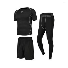 Men's Tracksuits Spring And Fall Bodyfitting Fitness Suit