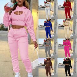 Women's Two Piece Pants Autumn Fleece Pink Three Piece Sets Tracksuit Women Outfits Sweatsuits Sexy Long Sleeve Hoodies Crop Top And Pants Sets Suit 230802