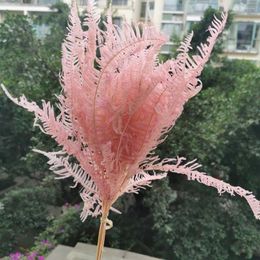 Decorative Flowers 8pcs/30-35cm Nature Preserved Osmunda Japonica Bouquet Eternal Fern Leaf DIY Glass Cover Floating Flower Material Wedding