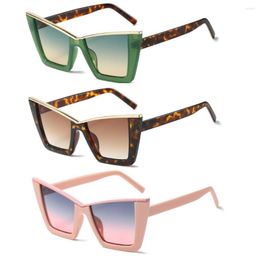 Sunglasses Seller Women Sun Glasses Custom Designer Logo Big Frame Fashion Oversized Cat Eye