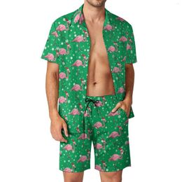 Tute da uomo Cartoon Birds Print Vacation Men Sets Fenicotteri Natale Camicia casual Set Summer Graphic Shorts 2 pezzi Hawaii Suit Big