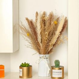 Decorative Flowers 30pcsWedding Flower Arrangements Pampas Grass Dried Plants Boho Decor For Home Office Natural