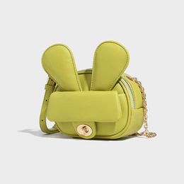 Premium Sense Rabbit Ears Small Bag Ladies Light Luxury French Niche Hundred Shoulder Crossbody Mini Small Bag 0807