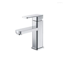 Bathroom Sink Faucets And Cold Washbasin Faucet Stainless Steel