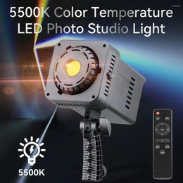 Flash Heads 100W LED Video Studio Light Pography Lamp 5500K Continuous Bowens Mount For Recording Shooting Portrait
