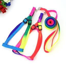 Adjustable Small Pet Dog Leash Harness Nylon Colourful Puppy Lead Leashes Walk Out Hand Strap Vest Collar For Dog Cat Rabbitthe