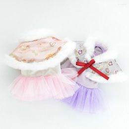 Dog Apparel Chinese Style Chic Two Legs Winter Dress Lace Up Tang Pet Clothes Cape For Going Out