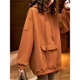 Women's Hoodies Fashion Hooded Plush Sweater Winter Large Dress 2023 European Station Medium Long Top