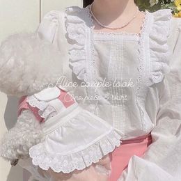Dog Apparel Pet Dress Pink Blue Maid Lace Skirt Clothe Bichon Teddy Clothes Cat Puppy For Small Dogs Accessories