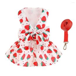 Dog Apparel Pet Harness Dress And Leash Set Cute Bowknot Puppy Cat Princess Dresses For Small Dogs Summer Clothes Leashes