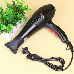 Hair Dryers Blow Dryer Professional with Scented 2500W Concentrator Included Fast Drying Lightweight Blower for Home 230803