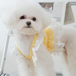 Dog Apparel Summer Chiffon Skirt Cat Puppy For Dress Yorkshire Pomeranian Clothes Shih Tzu Maltese Bichon Poodle Schnauzer Clothing