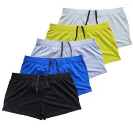 Men's Shorts Plain Cotton Workout Joggers Bodybuilding Fitness Clothing High Trousers Quality