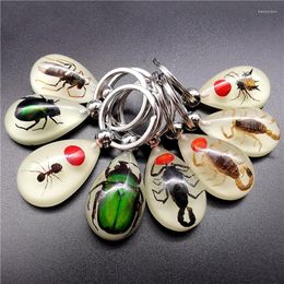 Keychains Luminous Imitation Scorpion Key Chain - Product Artificial Crab And Keychain Bag Car Ring Gift