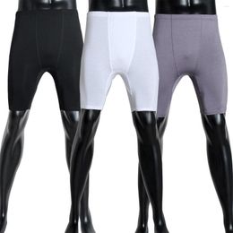 Men's Shorts M-2XL Summer Wear Modal Solid Colour Adult Male Elastic Waist Above-knee Length Legging Short Pants