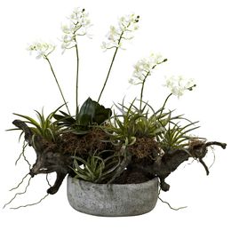 20 дюймов орхидея сочного сада искусственного растения в декоративной вазе