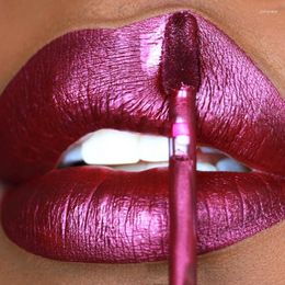 Lip Gloss 12 Colour Matte Metallic Liquid Lipstick Waterproof Long Lasting Not Fading Nude Tint Stain Sexy Women Lips Makeup Cosmetics