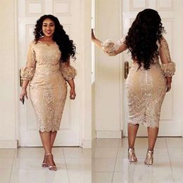 Vintage Champagne Plus Size Mother of the Bride Dresses Lace Tea length 2018 Modest Long Sleeve Mother of Groom Formal Occasion Dr346j