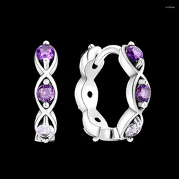 Hoop Earrings 925 Sterling Silver Purple Gradient Eye Girls' European And American Style High Fashion Jewelry 2023