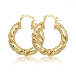 Hoop Earrings Vintage Cool Thick Tube Metal Hoops Gold Colour Twist Concise Geometry Round For Women Girl HipHop Jewellery ZK40