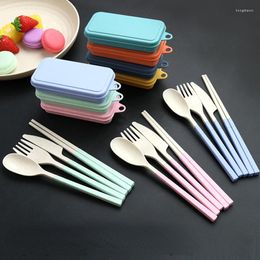 Dinnerware Sets Wheat Straw Travel Flatware With Box Bag Portable Cutlery Set Chopsticks Fork Spoon Knife Eco Friendly