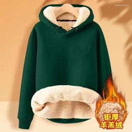 Men's Hoodies Hooded Sweater Men's Plus Velvet Thickened Warm Loose Students With Pullover Trendy Brand Ins Lambswool Jacket