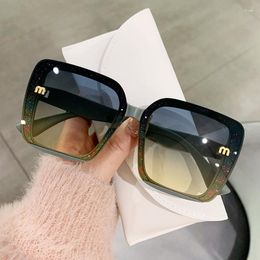 Sunglasses 2023 Cat Eye Sun Glasses Female Outdoor Shopping Shades Man Driving Eyewear Retro Punk Oval