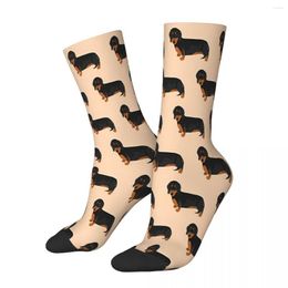 Men's Socks Sausage Dog Lovers Male Mens Women Summer Stockings Hip Hop