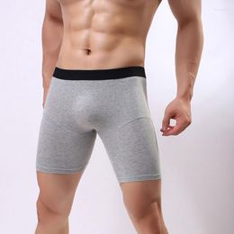 Underpants Mens Plus Size Underwear U Convex Pouch Boxers Homme Slip Panties Men's Long Leg Hombre Brand Boxer Shorts F14