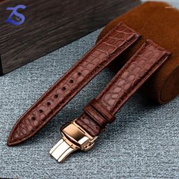 Watch Bands Genuine Alligator Strap Waterpoor Watchband Mens Band Crocodile Skin Leather Bracelet Belts18mm 19mm 20mm 21mm 22mm