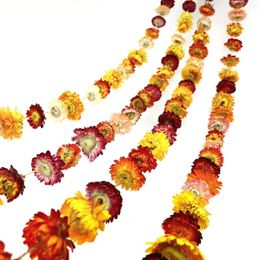 Decorative Flowers 6.6ft Dried Garland 42 Heads Colourful Real Daisy Sunflower Dry Flower Chain Boho Home Wedding Party Wall Hanging Decor