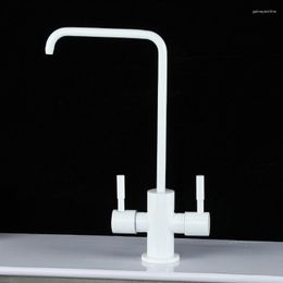 Kitchen Faucets Dual Handle Pure White Purifier Faucet Black Hose Drinking Water Tap