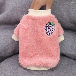 Dog Apparel Pet Clothes Winter Small Hoodies Cute Fruit Embroidery Cat Puppy Sweater Warm Fleece Coat For Chihuahua Terrier Clothing