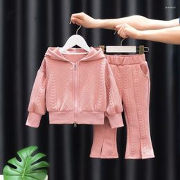 Clothing Sets Toddler And Baby Girls Wheat Embossing Double Zipper Sweatshirt Sweatpant Hooded Children Tracksuit Kids Outfits 1-9 Years