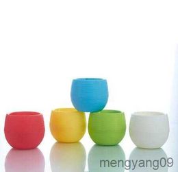 Planters Pots buah Pot bunga tanaman sukulen bahan plastik warna-warni Pot bunga tanaman sukulen warna-warni R230807