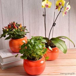 Planters Pots Set Hidroponik Besar Bunga Lapisan Ganda Tanpa Deformasi Dekor Pot Bunga Penyiraman Otomatis R230807