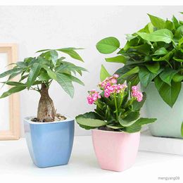 Planters Pots Pot bunga segar penyerapan air otomatis Pot bunga malas Pot bunga plastik hidroponik R230807