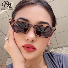 Sunglasses DM PERFECTIONISM Individual Character Small Frame Restore Ancient Ways Joker Men And Women Fashion Cat Eye