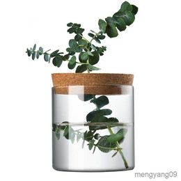 Planters Pots Tanaman hidroponik Mini Pot bunga rumah transparan Abletop tanaman Pot rumah tamu R230807