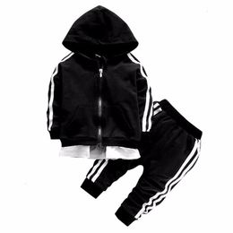 Clothing Sets Spring Baby Casual Tracksuit Children Boys Girls Cotton Zipper Jacket Pants 2Pcs Sets Kids Leisure Sports Suit Infant 230807