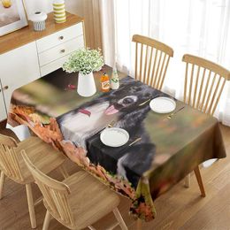 Table Cloth Border Collie Rectangle Tablecloth Autumn Leaves Theme Black And White Dog Cute Dining Room Kitchen Decorations