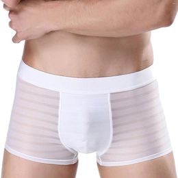 Underpants Ice Silk Boxer Mens Sexy Mesh Sheer Boxershorts Seamless Transparent Briefs Panties Elastic Waist Intimates Shorts