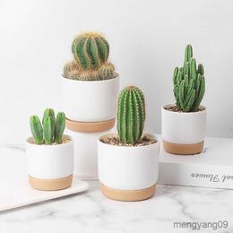 Planters Pots Pot Tanaman Sukulen Lapisan Tanaman Sukulen Lapisan Pot Bunga Kecil Pot Bunga Sukulen Kecil R230807